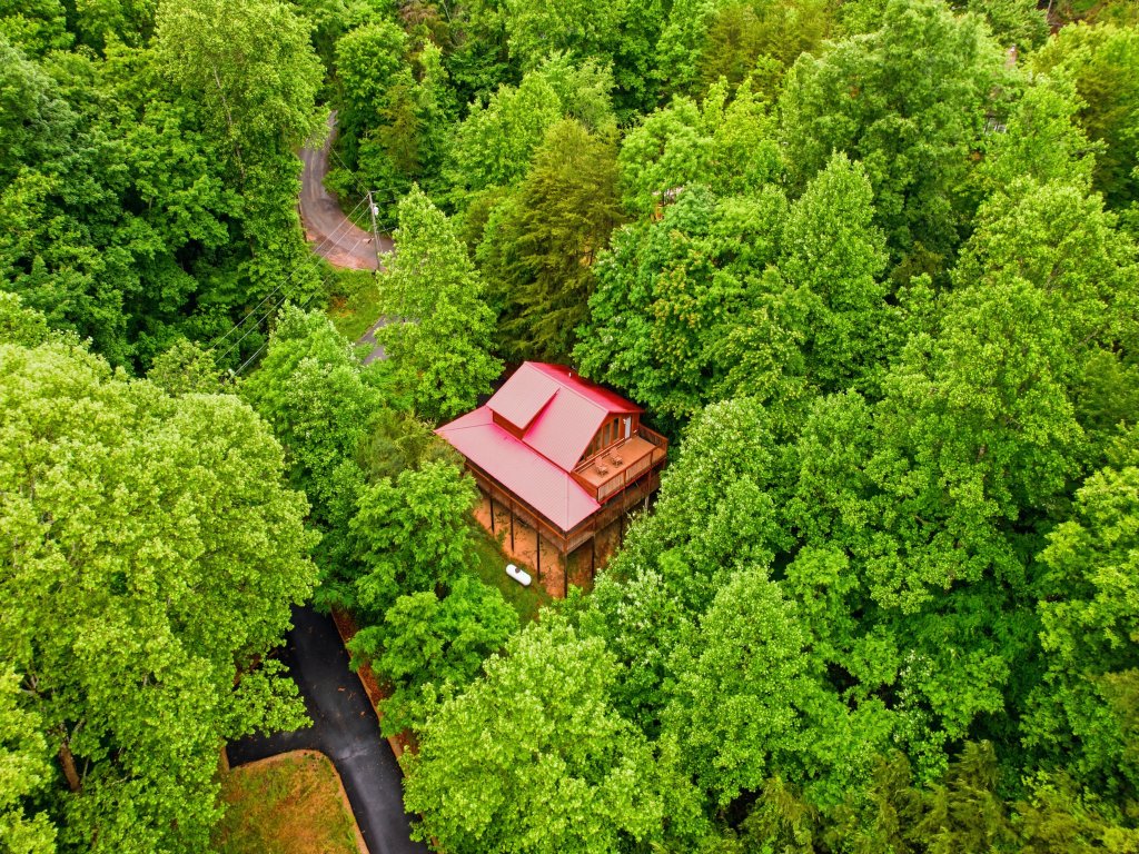 Black Bear Hideaway Vacation Rental in Sevierville - RedAwning