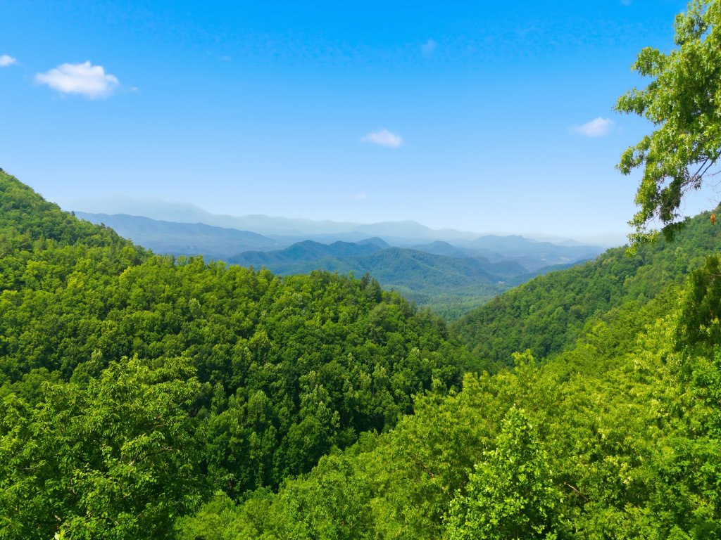 Above the Clouds Vacation Rental in Sevierville - RedAwning