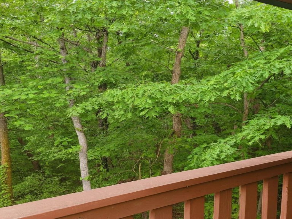 Smoky Mountain Getaway Vacation Rental in Pigeon Forge - RedAwning