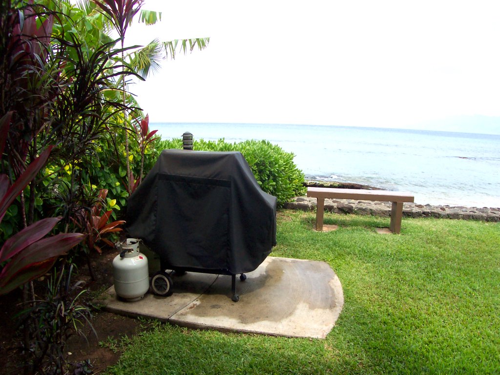 Pikake #A6 Vacation Rental in Lahaina - RedAwning