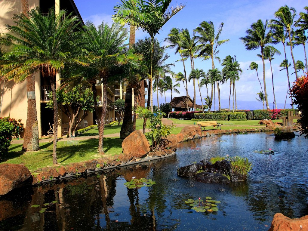 Papakea #L407 Vacation Rental in Lahaina - RedAwning