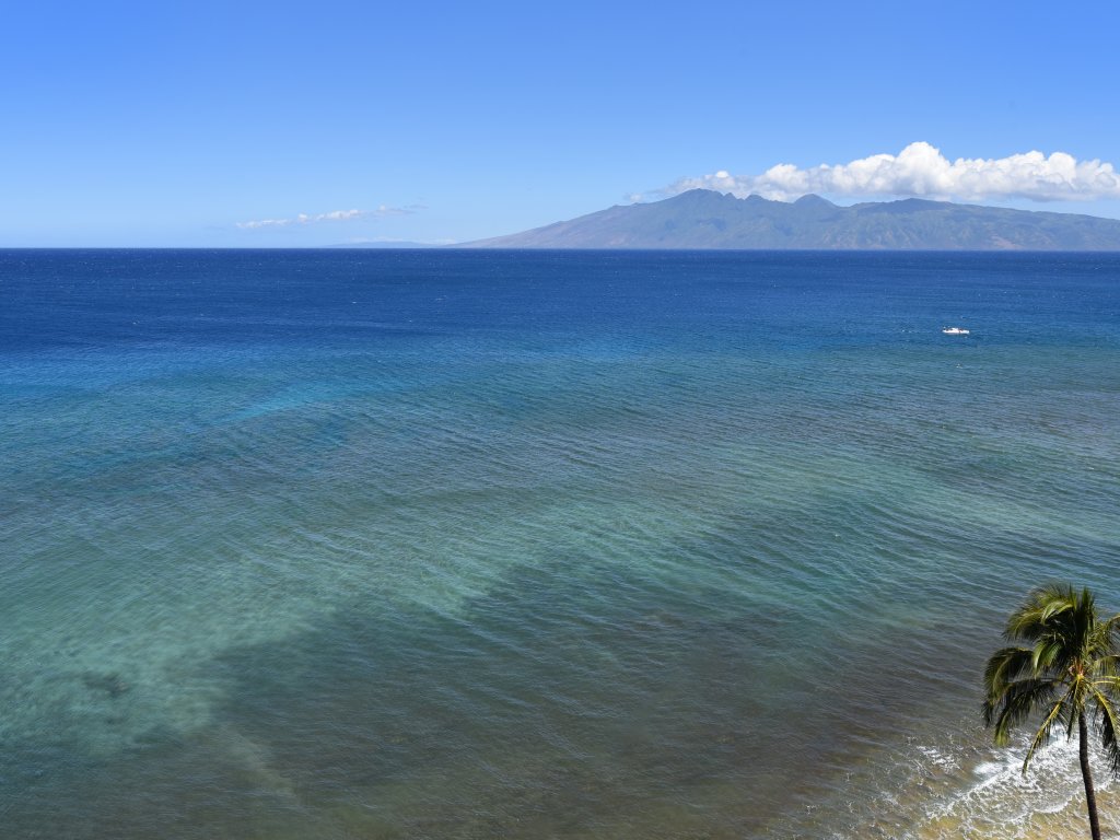 The Mahana #1104 Vacation Rental in Lahaina - RedAwning