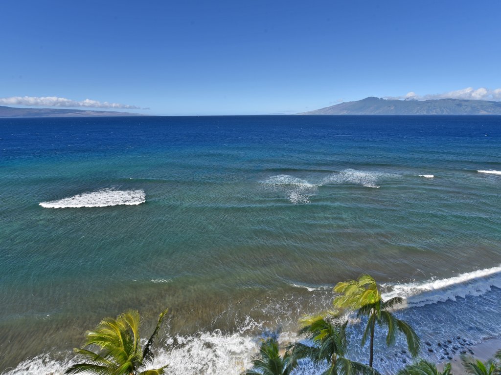 The Mahana #1204 Vacation Rental in Lahaina - RedAwning