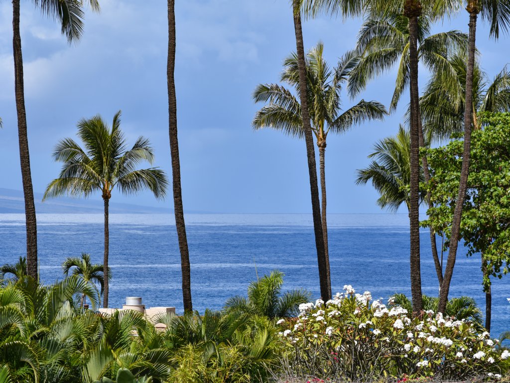 Maui Kaanapali Villas #A317 Vacation Rental in Lahaina - RedAwning