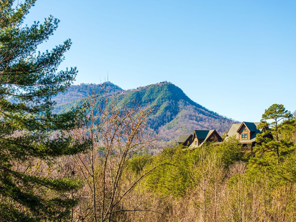 Luxurious Cabin in the Great Smoky Mountains Vacation Rental in Sevierville - RedAwning