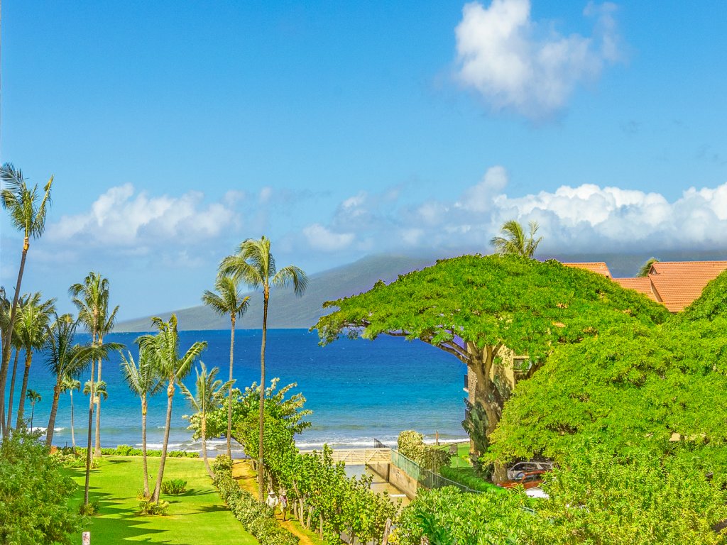 Kaanapali Shores 422 1 Bedroom Condo Vacation Rental in Lahaina - RedAwning