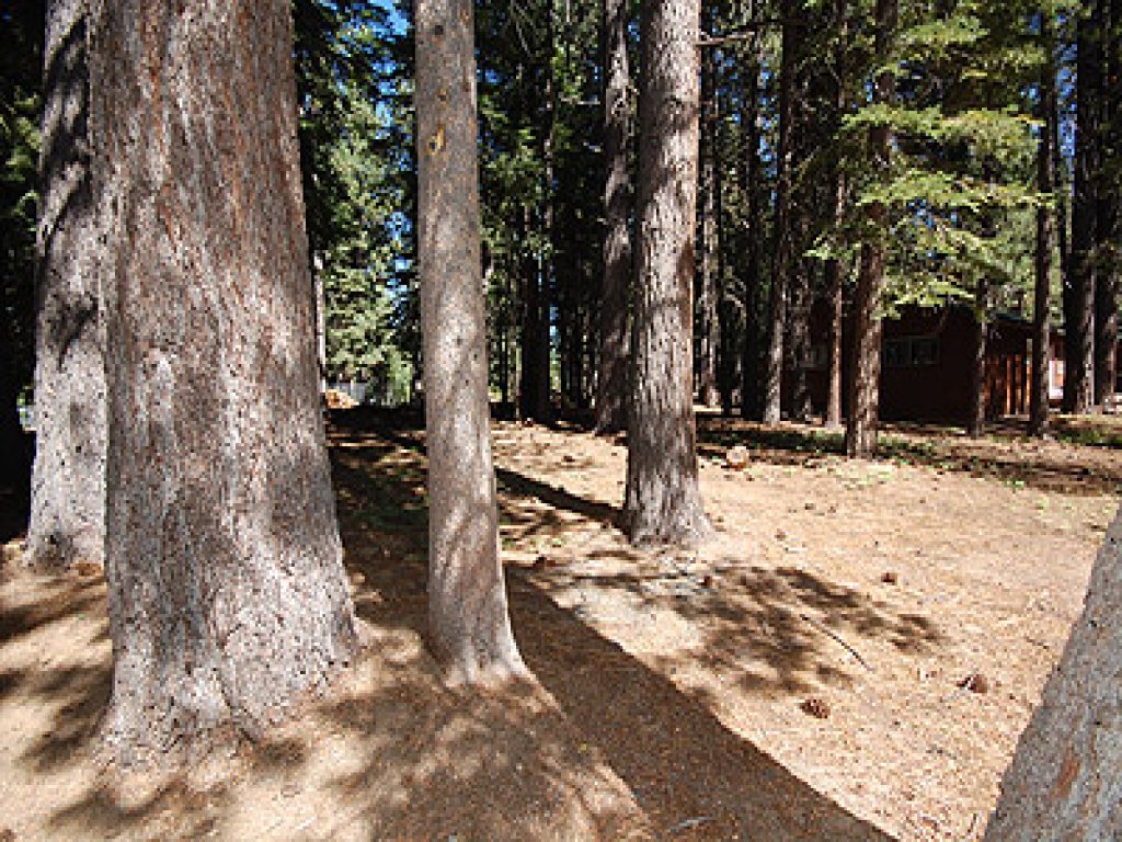 1870 Bella Coola Drive Vacation Rental in California - RedAwning