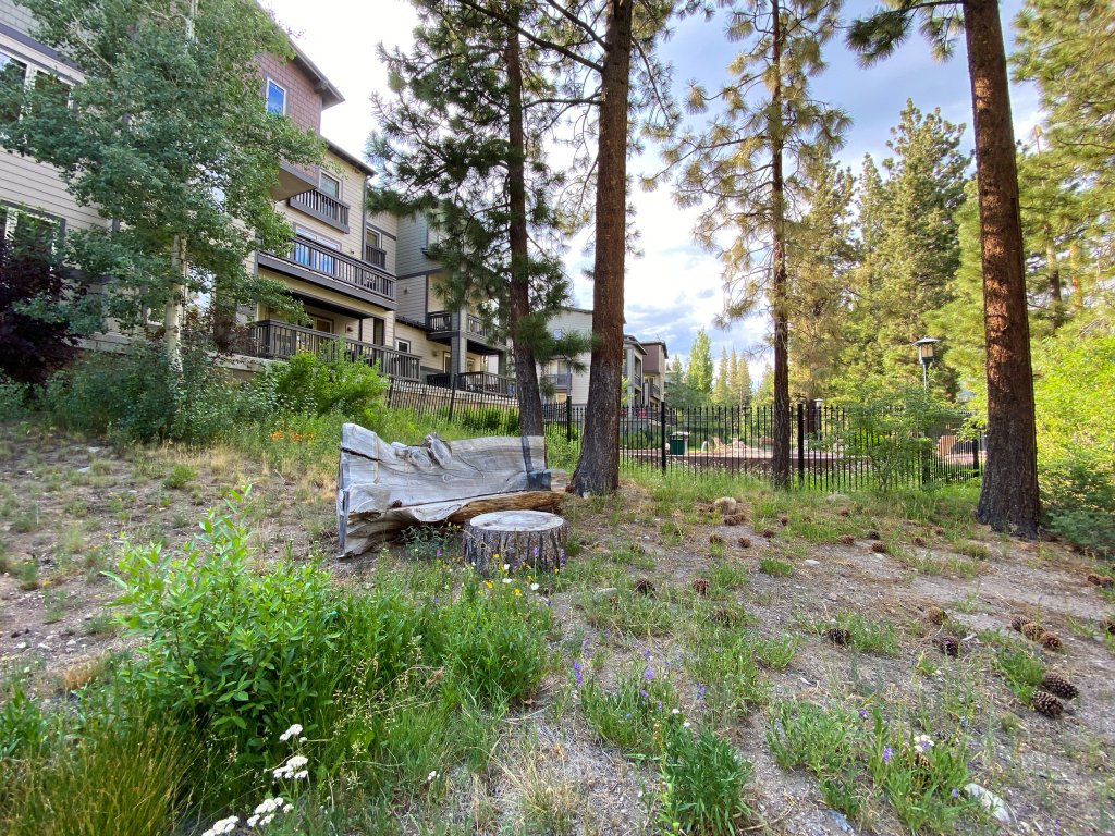 Mammoth Green 214 Quiet, Remodeled, Private Washer Dryer, BBQ Grill, Walk to Eagle Lodge Vacation Rental in Mammoth Lakes - RedAwning