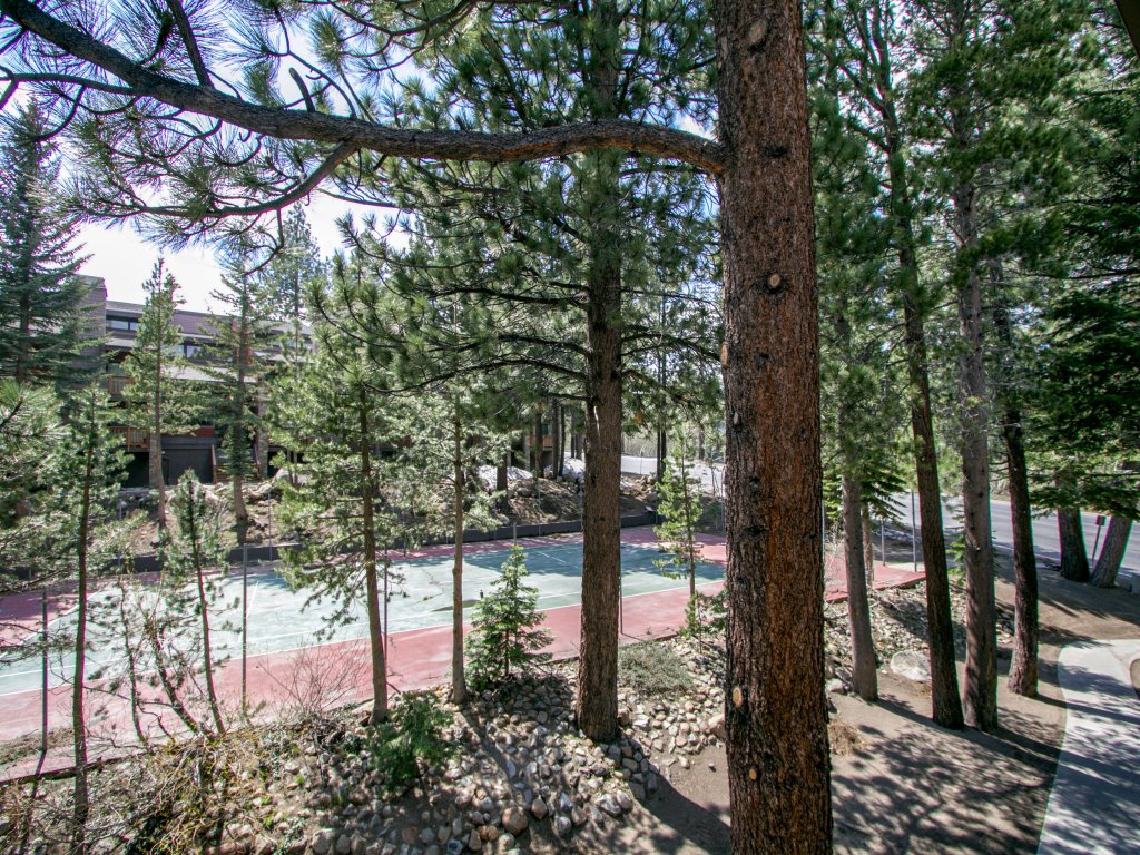 Summit 277 Pet-Friendly, Open Floor Plan, Walk to the Slopes Vacation Rental in Mammoth Lakes - RedAwning
