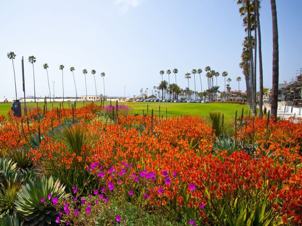 1005 E. Balboa A | Gorgeous Oceanfront w/ HUGE patio Vacation Rental in Newport Beach - RedAwning