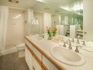 Aspen Alps Apartment #101