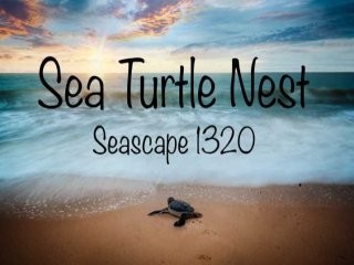 Seascape 1320 - Sea Turtle Nest - image