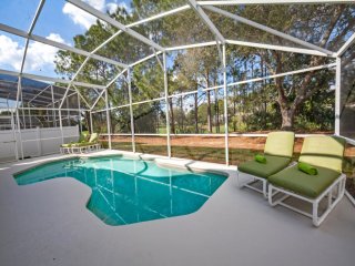 Amazing Conservation View From Pool- Game Room!
