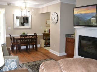 Smoky Mountains 107 2BD Condo with Fireplace