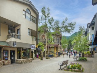 Bridge St. Condominium Chalet