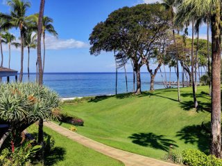WAILEA ELUA, #1204