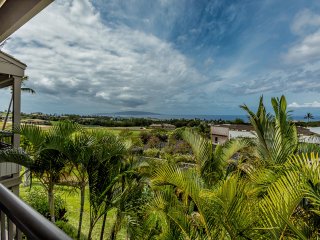 Wailea Ekolu 208