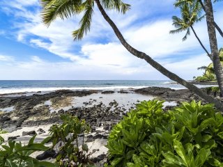 Big Island Kona Bali Kai 332