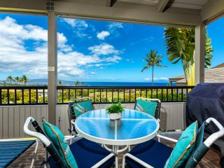 Wailea Ekolu 904