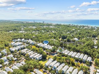 Seas the Day | 126 E Royal Fern