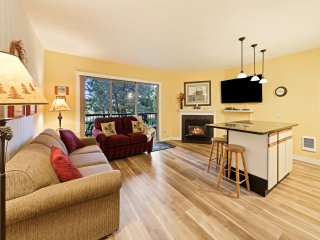 Ski Condo 138