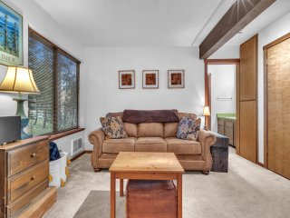 Cozy Condo with Fireplace- Pet OK Tam#3
