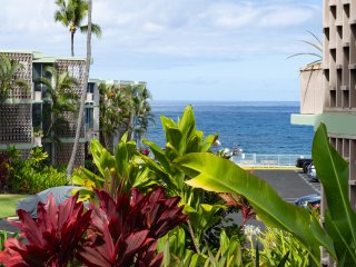 Alii Villas #124