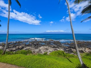 Oceanfront Maui Point Condo Sleeps 4- Unit A3