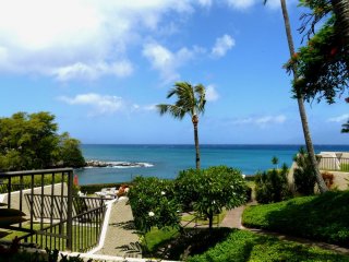 Ocean View Napili Point Condo 1BR- Unit B38