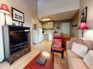 Summit 258 Pet-Friendly, Comfortable, Great Complex Amenities
