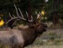 Image 34