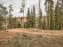 Image 42