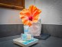 Image 32
