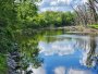 Image 115