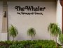 Image 43