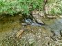 Image 14