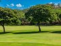 Image 37