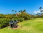 Image 66