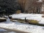 Image 29