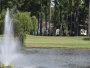 Image 23