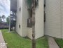 Image 81