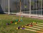 Image 85