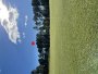Image 29