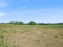 Image 29