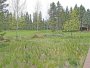 Image 67