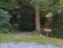 Image 92