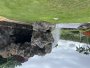 Image 67