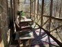 Image 46